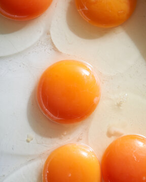 Fresh Egg Yolks on a White Surface