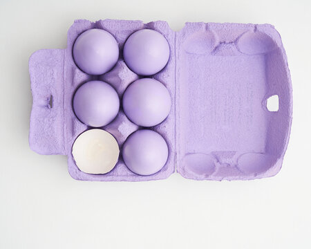 Monochromatic Purple Eggs in Carton