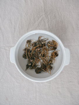 Ranunculus corms soaking