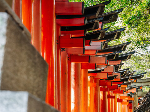Detail of a torii gates row at fushimi inari temple