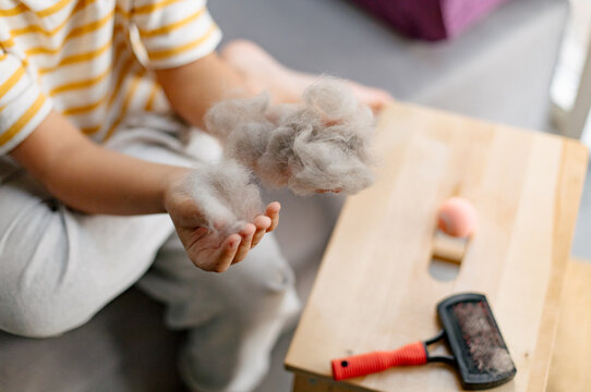 boy's hands and cat's fur