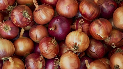 Onion. Background, wallpaper, banner.