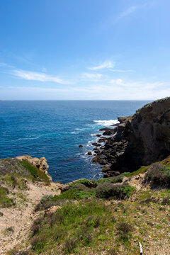 Point Lobos, California