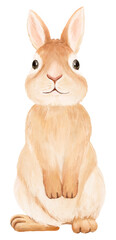 Rabbit png sticker, cute animal illustration, transparent background