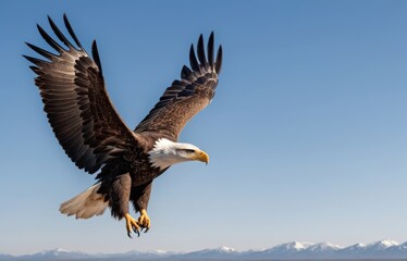 Obraz premium Vertical closeup shot of the eagle while flying in the sky