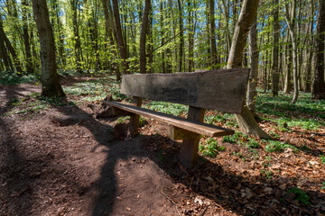 Fototapeta premium Old wooden bench in the forest