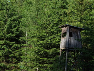 bird house on a tree