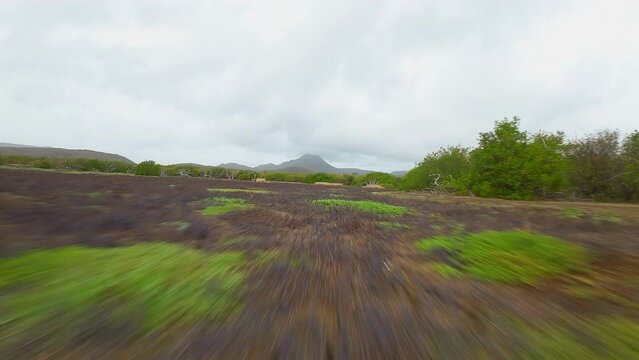 FPV flight fast and low over a plain on an island in the Caribbean