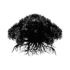 mangrove tree vector silhouette, black and white colors