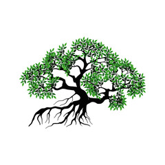 Mangrove tree rooted with shady green leaves. Vector illustration