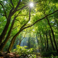 Obraz premium a lush, vibrant forest scene with sunlight filtering through the canopy, illuminating every leaf and greenery munton.