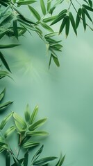 Nature bamboo leaves copy space top of view isolated green background