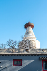 White Pagoda of a Temple and Bunglaow Roof