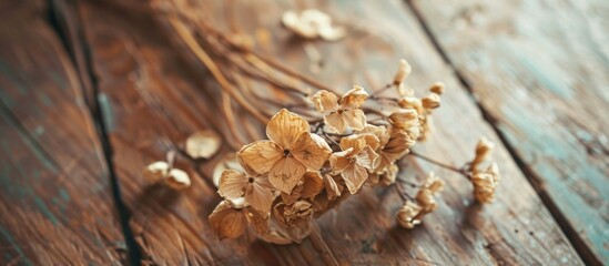 Assorted dried blooms arranged on a rustic wooden tabletop, set against a serene blue background