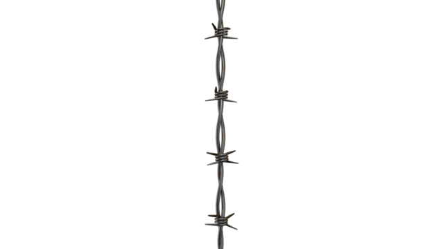 barbed wire