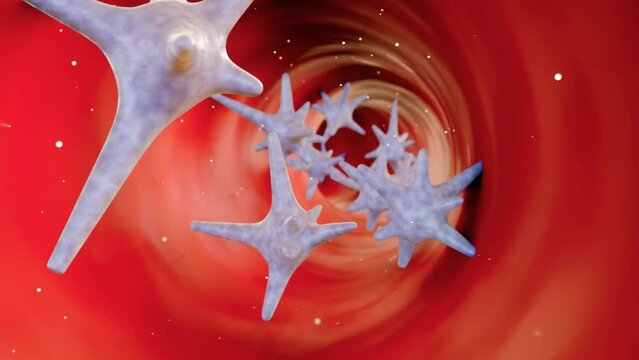 3d rendering of Thrombocytes, are pieces of very large cells in the bone marrow called megakaryocytes