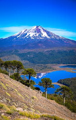 Conguillio National Park Chile Patagonia