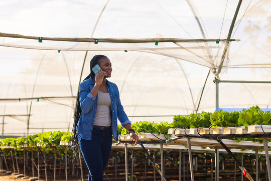 African American young female farmer talking on phone, checking plants in hydroponic greenhouse, cop