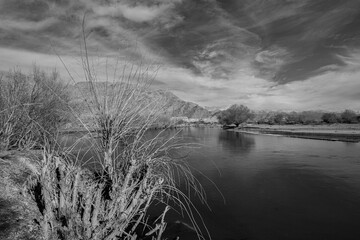 A beautiful landscape in monochrome of dry bushes and trees in the foreground, river flowing and clouds in the horizon