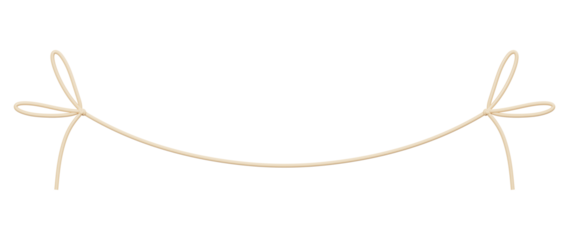 Brown rope divider png 3D element, transparent background