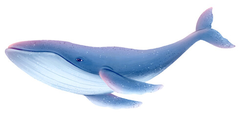 Humpback whale png sticker, animal illustration, transparent background © Rawpixel.com