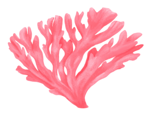 Pink coral png sticker, nature illustration, transparent background
