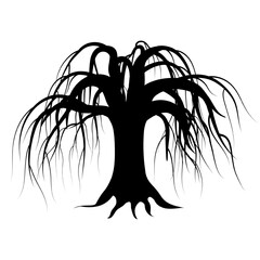 Vector illustration of dry willow tree silhouette