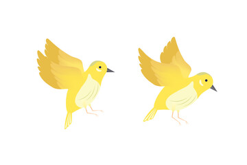 Vector illustration of two orioles