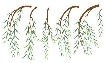 Vector illustration of willow branches © kody_king
