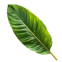 tropical green leaf isolated on transparent background Generative Ai.