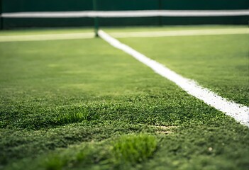 Close-up pista de tenis de hierba - obrazy, fototapety, plakaty