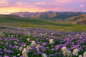 Majestic Sunset Over Lavender Wildflower Fields with Rolling Hills
