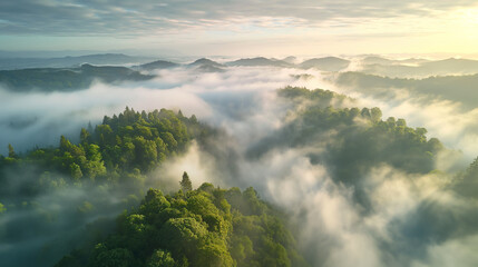 Obraz premium Sunrise Mist Over Lush Green Hills Aerial View