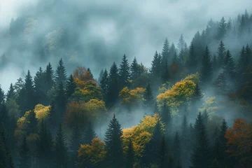 Foto auf Leinwand Autumnal hues paint a forest scene, where the mist weaves through the trees, creating a mystical dance of color and light, evoking a feeling of mystery and the beauty of seasonal change. © Darya