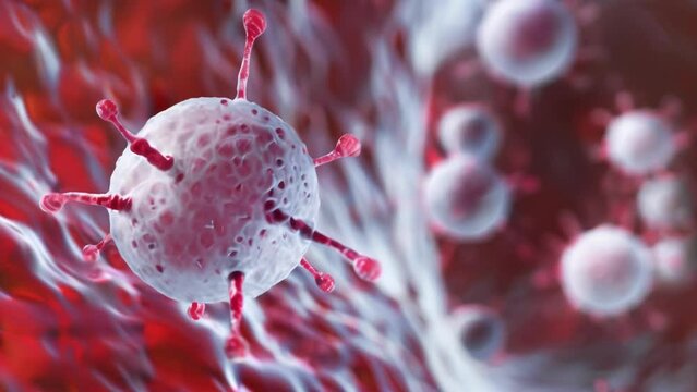 An image of a white cell specifically a neutrophil capturing bacteria in a phagocytosis process. . AI generation.