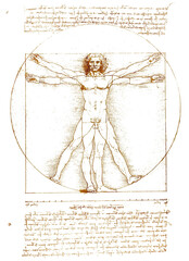 Leonardo da Vinci's png Vitruvian Man sticker on transparent background.