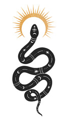 Astral snake png, spiritual illustration, transparent background