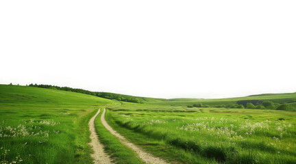 Obraz premium isolated greenery meadow field landscape with roadway path