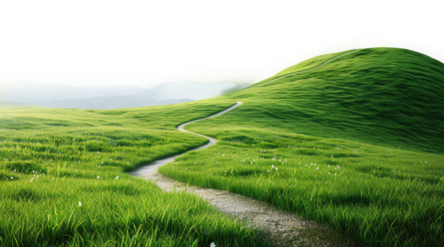 natural green grass meadow landscape with roadway on transparent background