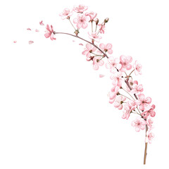 Obraz na płótnie Canvas Cherry blossom branch flower png element, transparent background