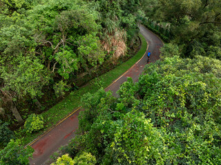 Trail in tropical forest mountains