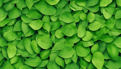 Background group spring green leaves