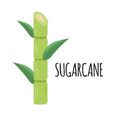 Sugarcane icon clipart avatar logotype isolated vector illustration