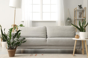 Interior of light living room with sofa and plants