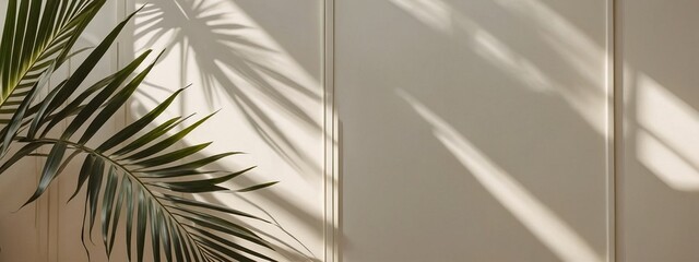 palm tree landscape backgound frame for texture 