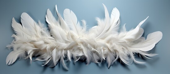 White feathers on a blue background.