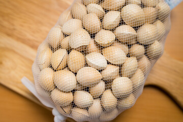 Stack of gingko biloba seeds