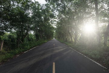 Beautiful asphalt road in the forest with sunset. - 789814334