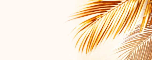 Abstract blur of tropical leaves pattern background.luxury palm leaf design with shadow.nature...