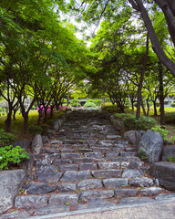 Walk in the park in Korea